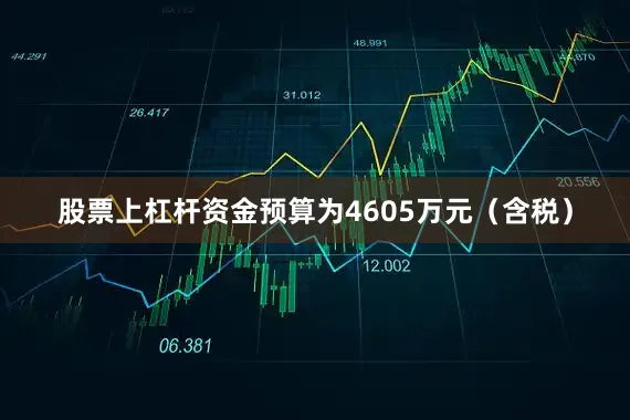 股票上杠杆资金预算为4605万元（含税）