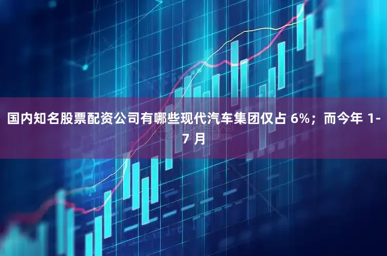 国内知名股票配资公司有哪些现代汽车集团仅占 6%；而今年 1-7 月
